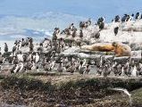 Foto: Tierra del Fuego. Gateway to the Icy Continent